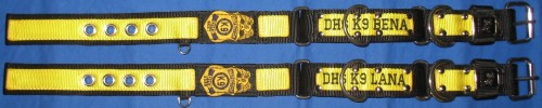 1.5" K9 DualGrip Collar: CenterStripe Embroidery on Stripe, Badge